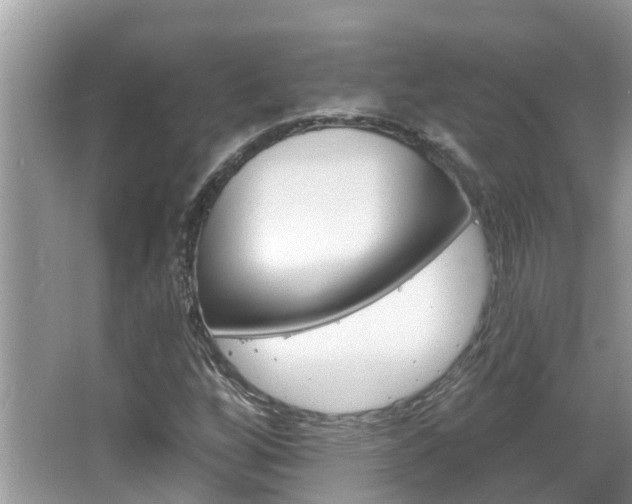 X0000067921256200604131125