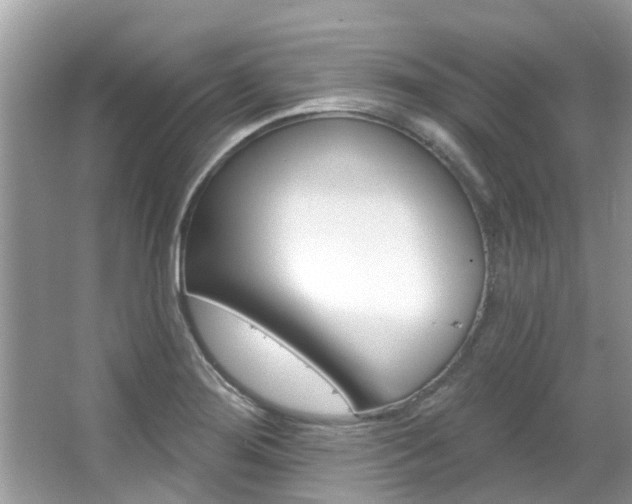 X0000067921276200604131125