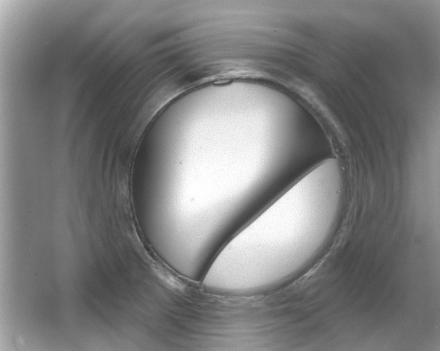 X0000067921281200604131125