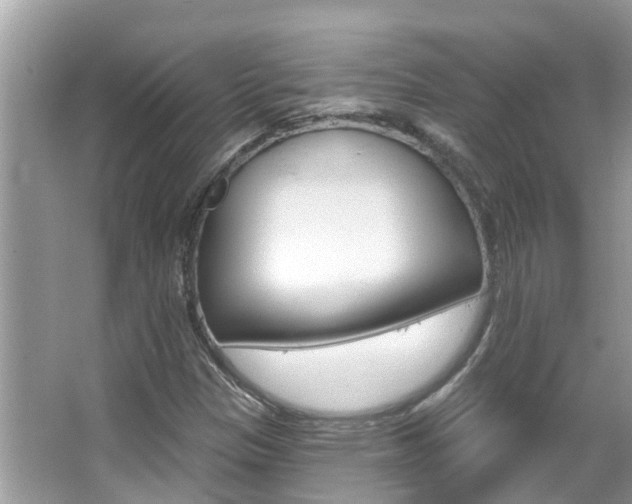 X0000067921305200604131124