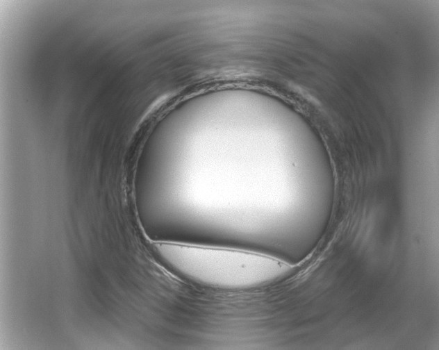 X0000067921306200604131124