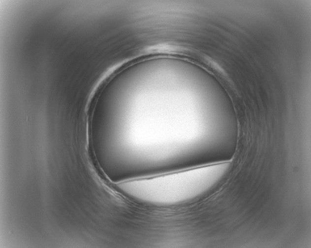 X0000067921323200604131124