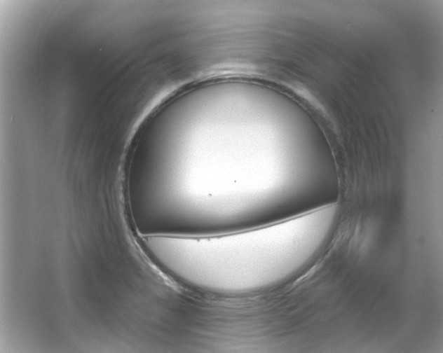 X0000067921325200604131124