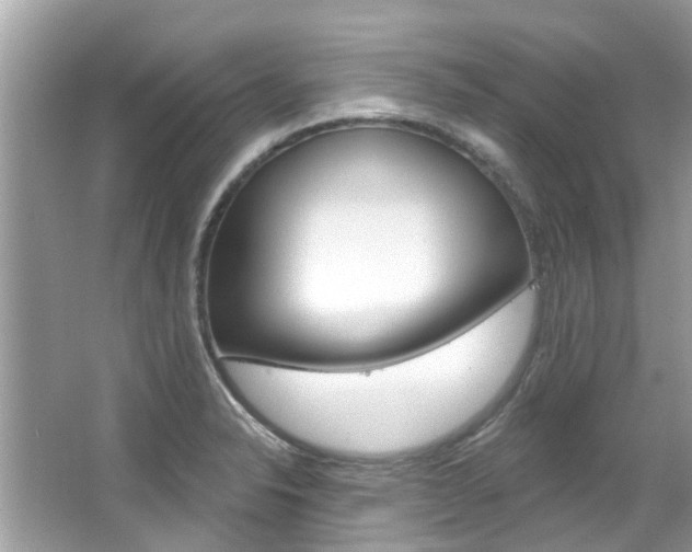 X0000067921326200604131124