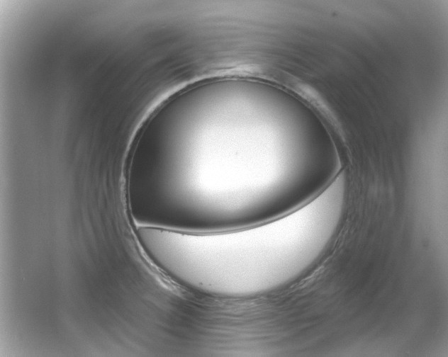 X0000067921332200604131124