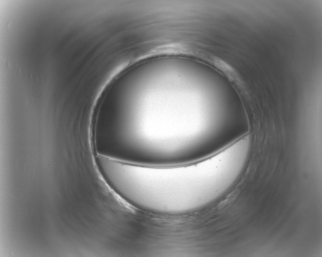 X0000067921334200604131124