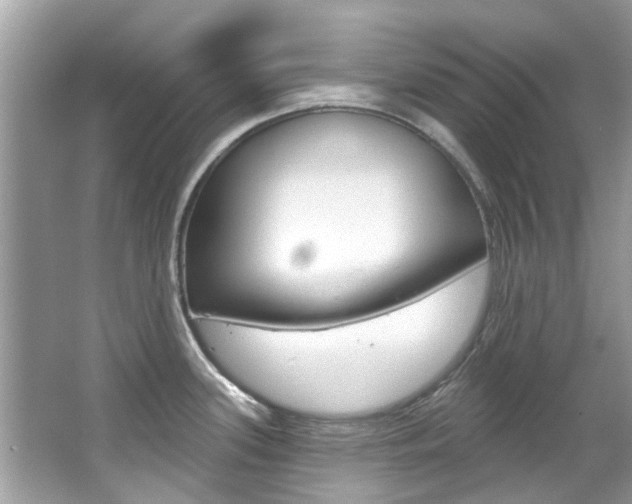 X0000067921339200604131125