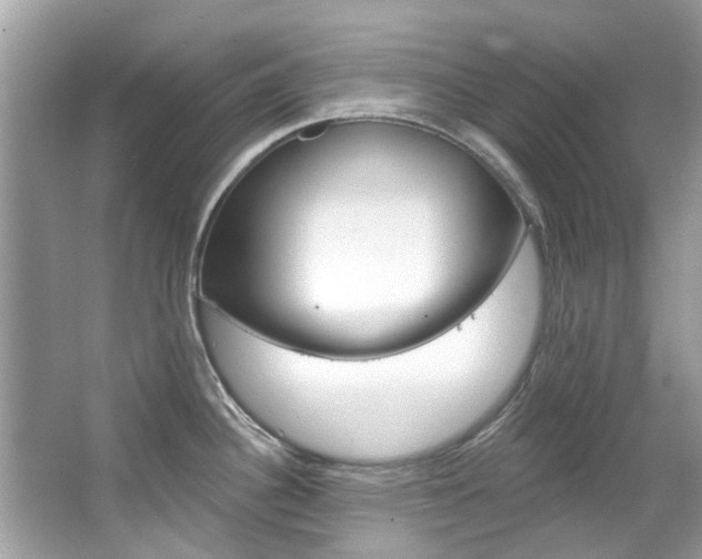 X0000067921340200604131125