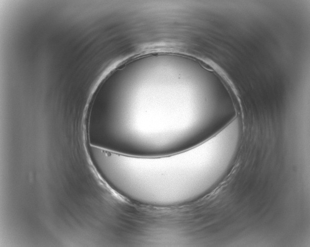 X0000067921341200604131125