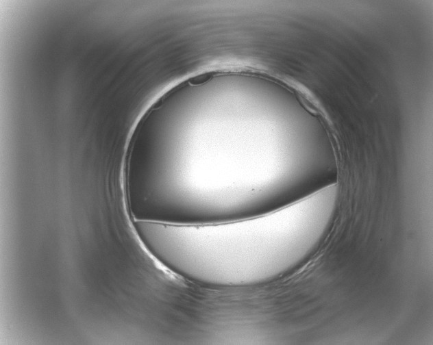 X0000067921343200604131125