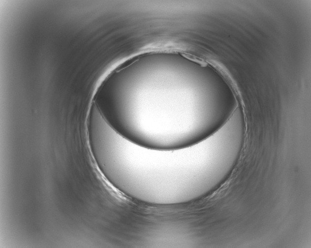 X0000067921344200604131125
