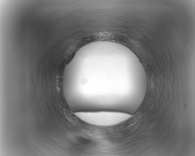 X0000067921346200604131124