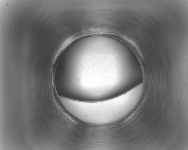 X0000067921365200604131123