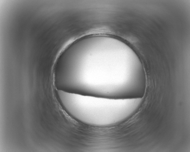 X0000067921366200604131123