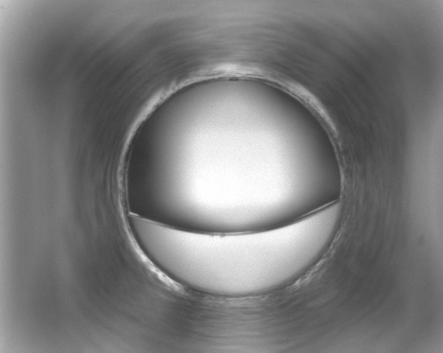 X0000067921381200604131123