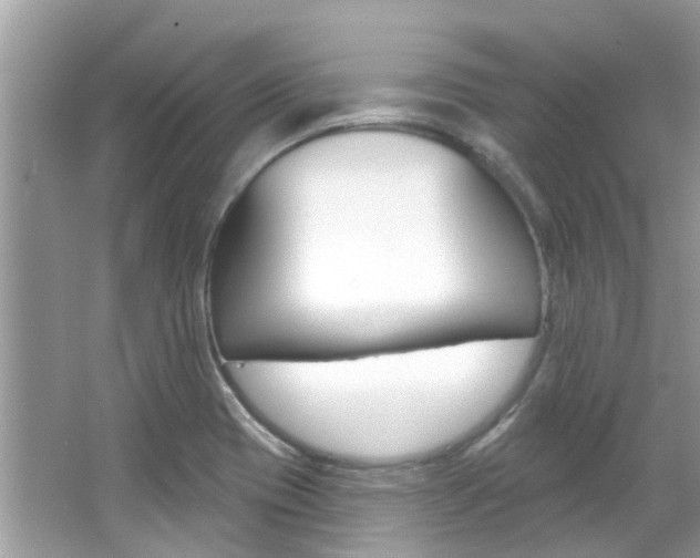 X0000067921417200604131123