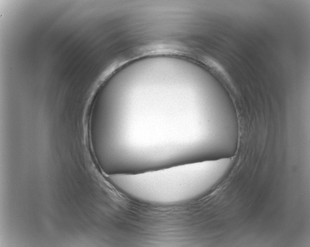 X0000067921419200604131123