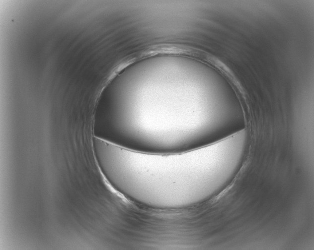 X0000067921433200604131123