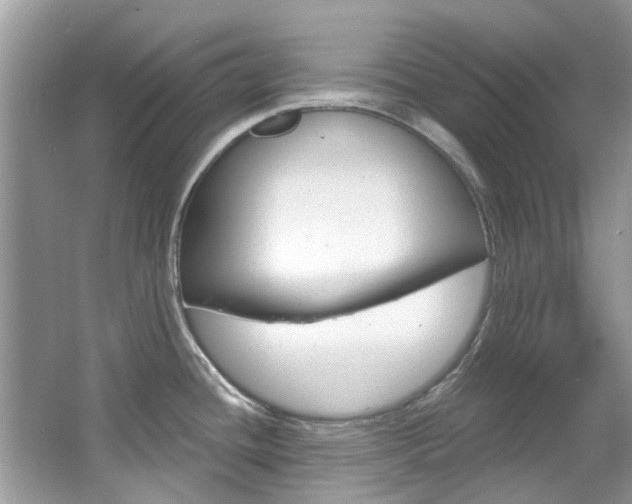 X0000067921436200604131123
