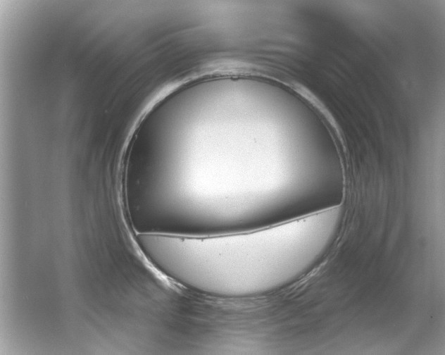 X0000067921437200604131123