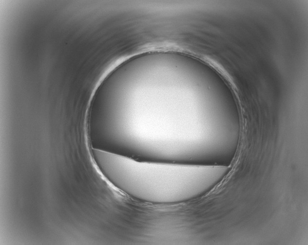 X0000067921440200604131123