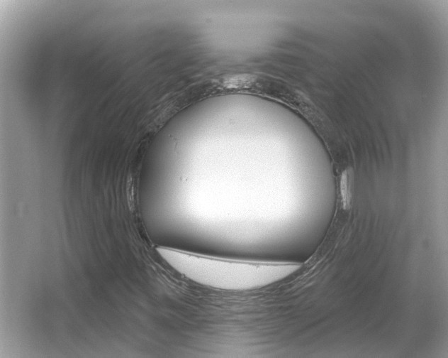 X0000067921443200604131122