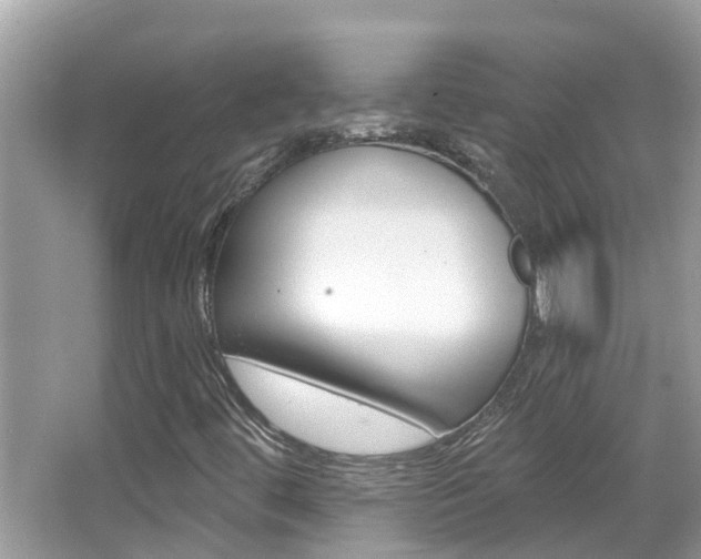 X0000067921444200604131122