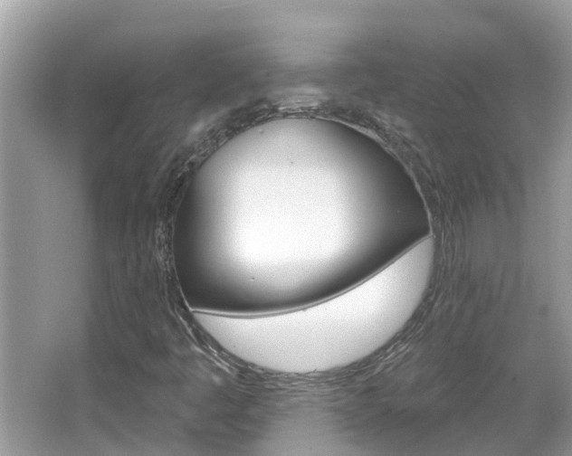 X0000067921445200604131122