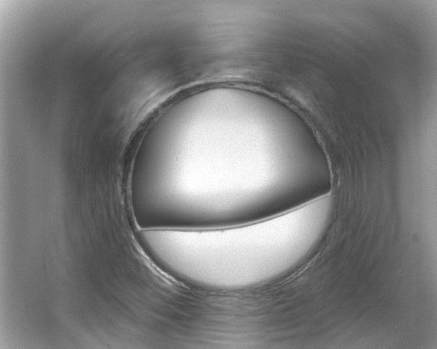 X0000067921452200604131122