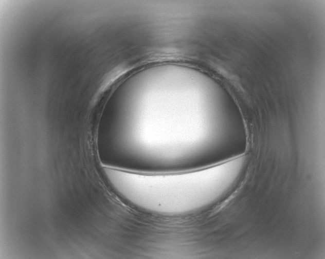 X0000067921453200604131122