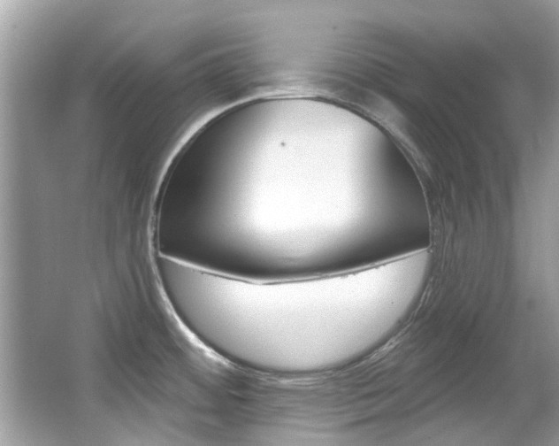 X0000067921484200604131121