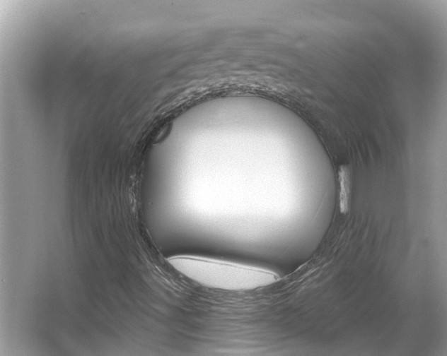X0000067921491200604131121