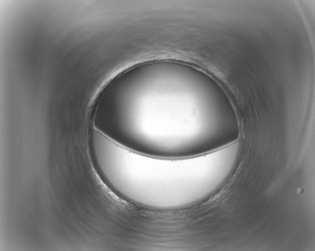 X0000067921500200604131121