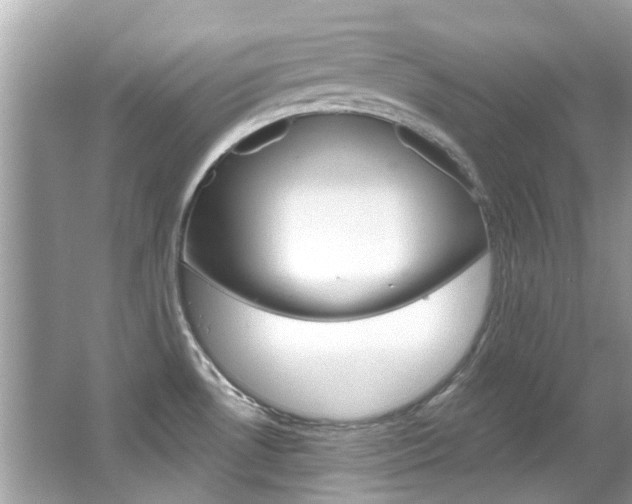 X0000067921530200604131121