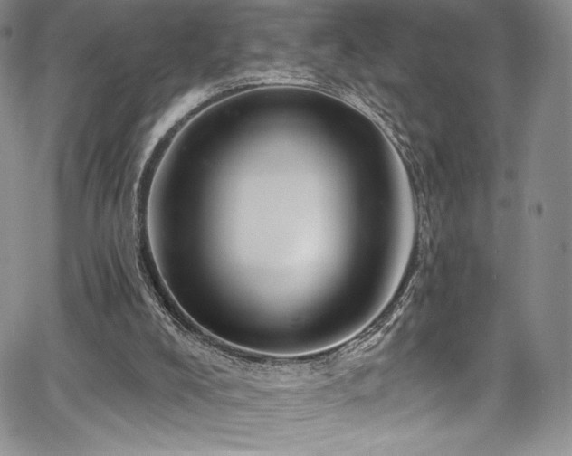 X0000067920008200604131420