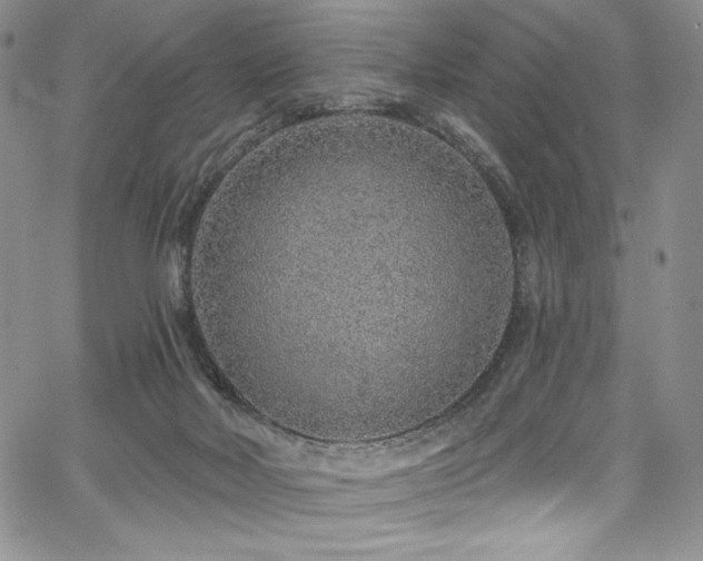 X0000067920026200604131420