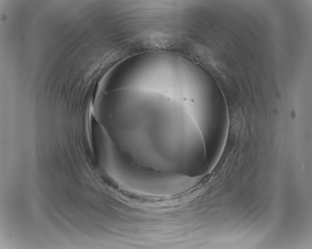 X0000067920027200604131420