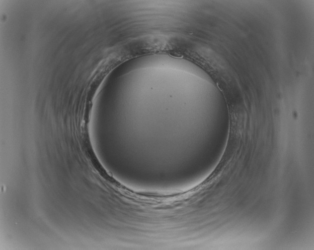 X0000067920035200604131420