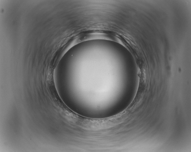 X0000067920037200604131420