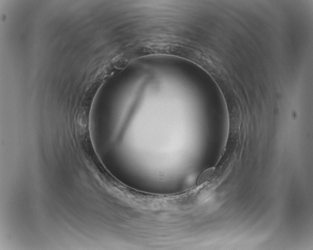 X0000067920040200604131420