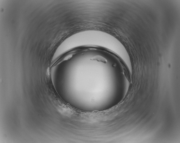 X0000067920041200604131420