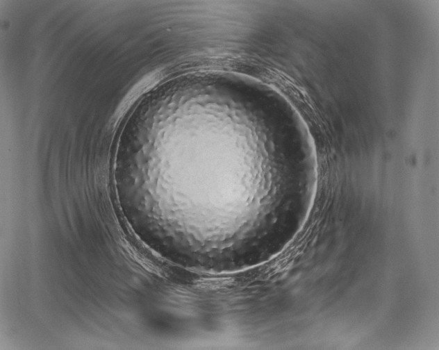 X0000067920051200604131419
