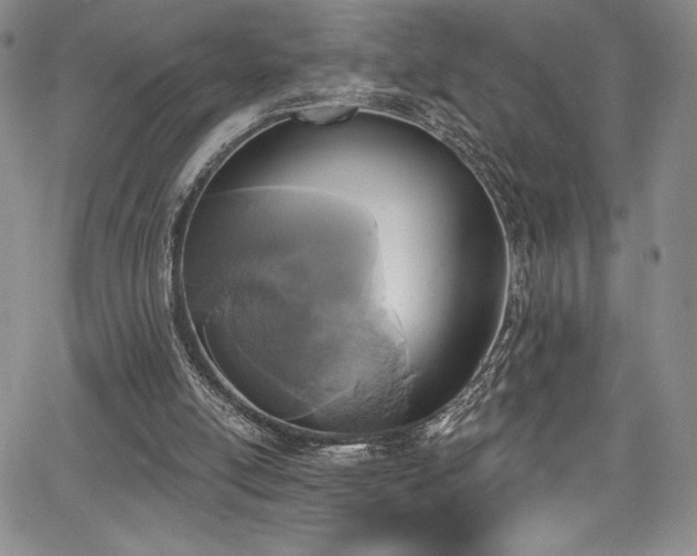 X0000067920054200604131419