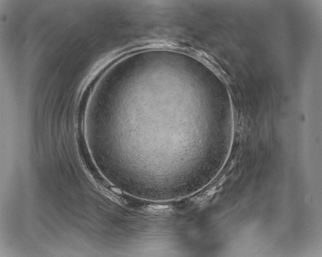 X0000067920055200604131419