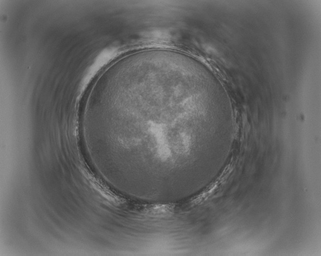 X0000067920056200604131419