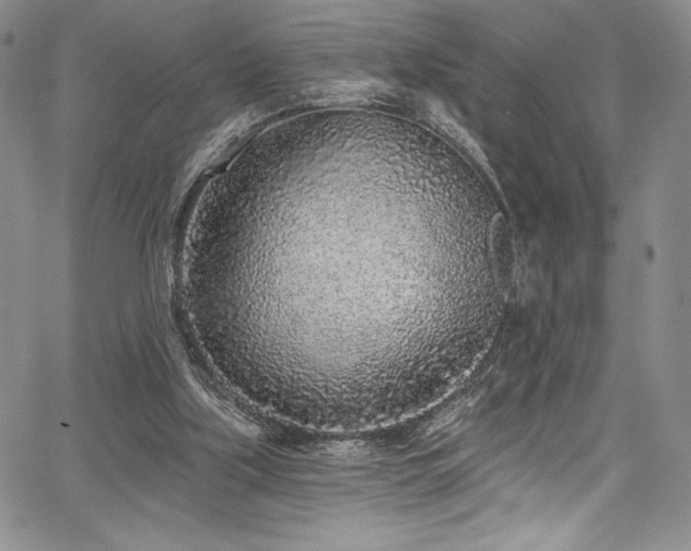 X0000067920059200604131419
