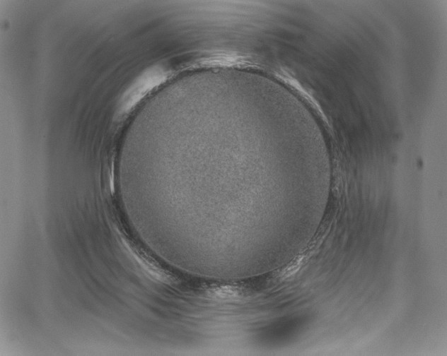 X0000067920062200604131419