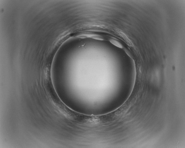 X0000067920071200604131419