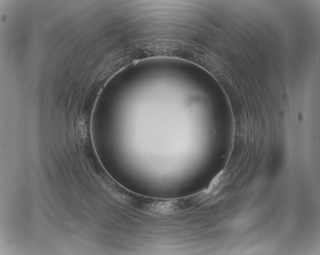 X0000067920086200604131419