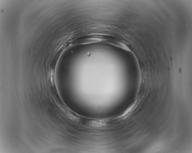 X0000067920094200604131419